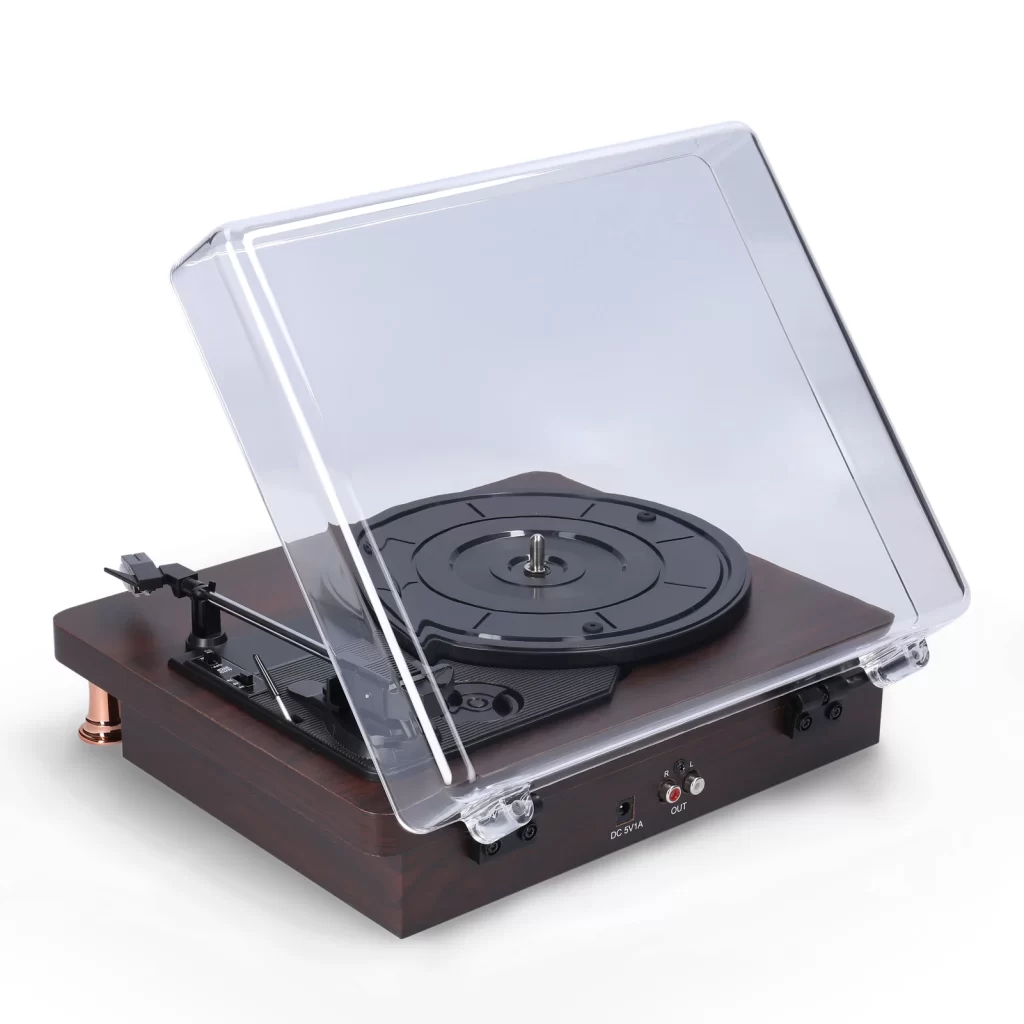 Lecteur Vinyle Vertical