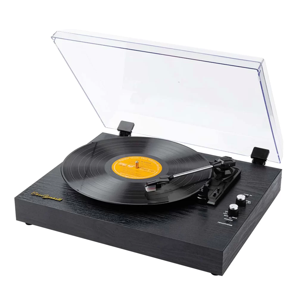 Lecteur Vinyle Vertical