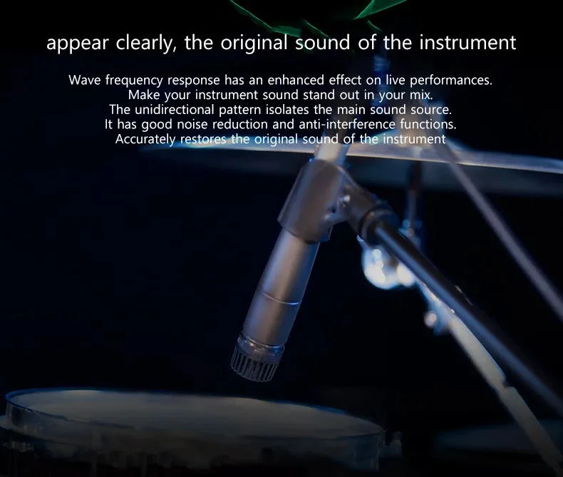 Image du microphone SM 57