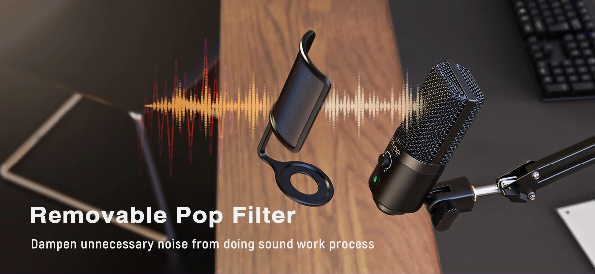 Filtre anti-pop amovible